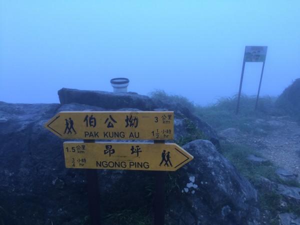 小猫钓鱼正版下载中文版