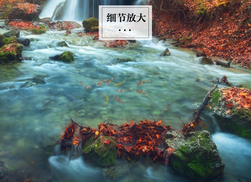 薛城晟汇集团深耕主责主业推动高质量发展